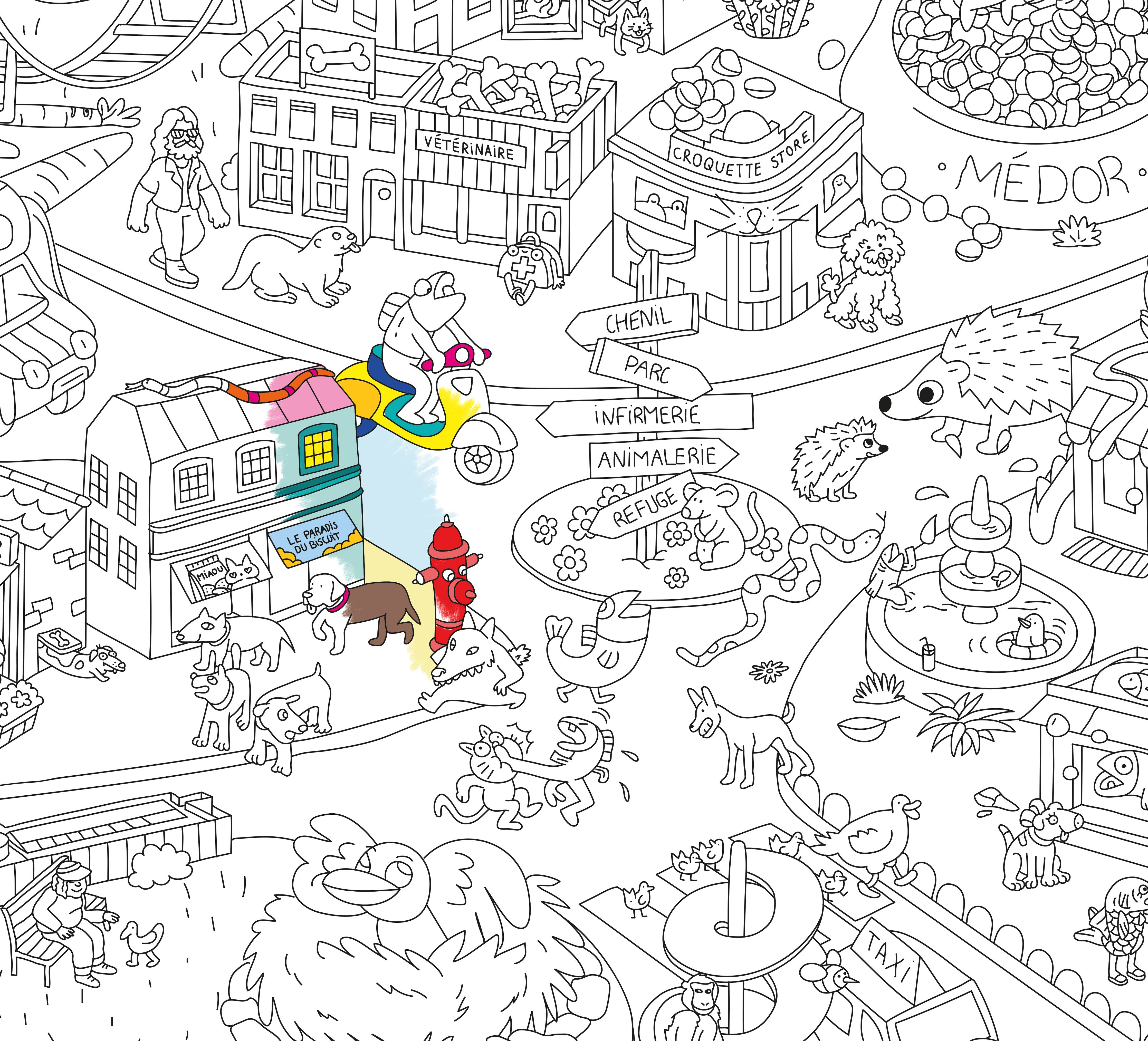 Animal Life Giant Coloring Poster