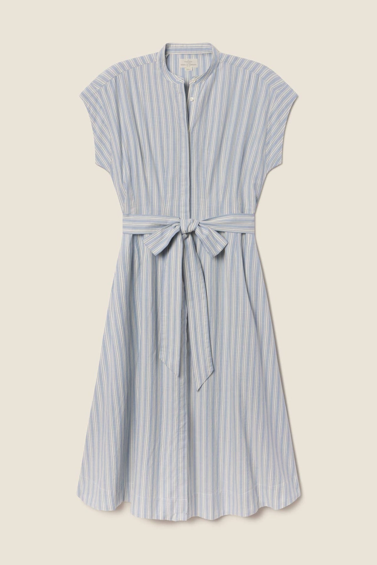James Dress - Blue Oxford Stripe