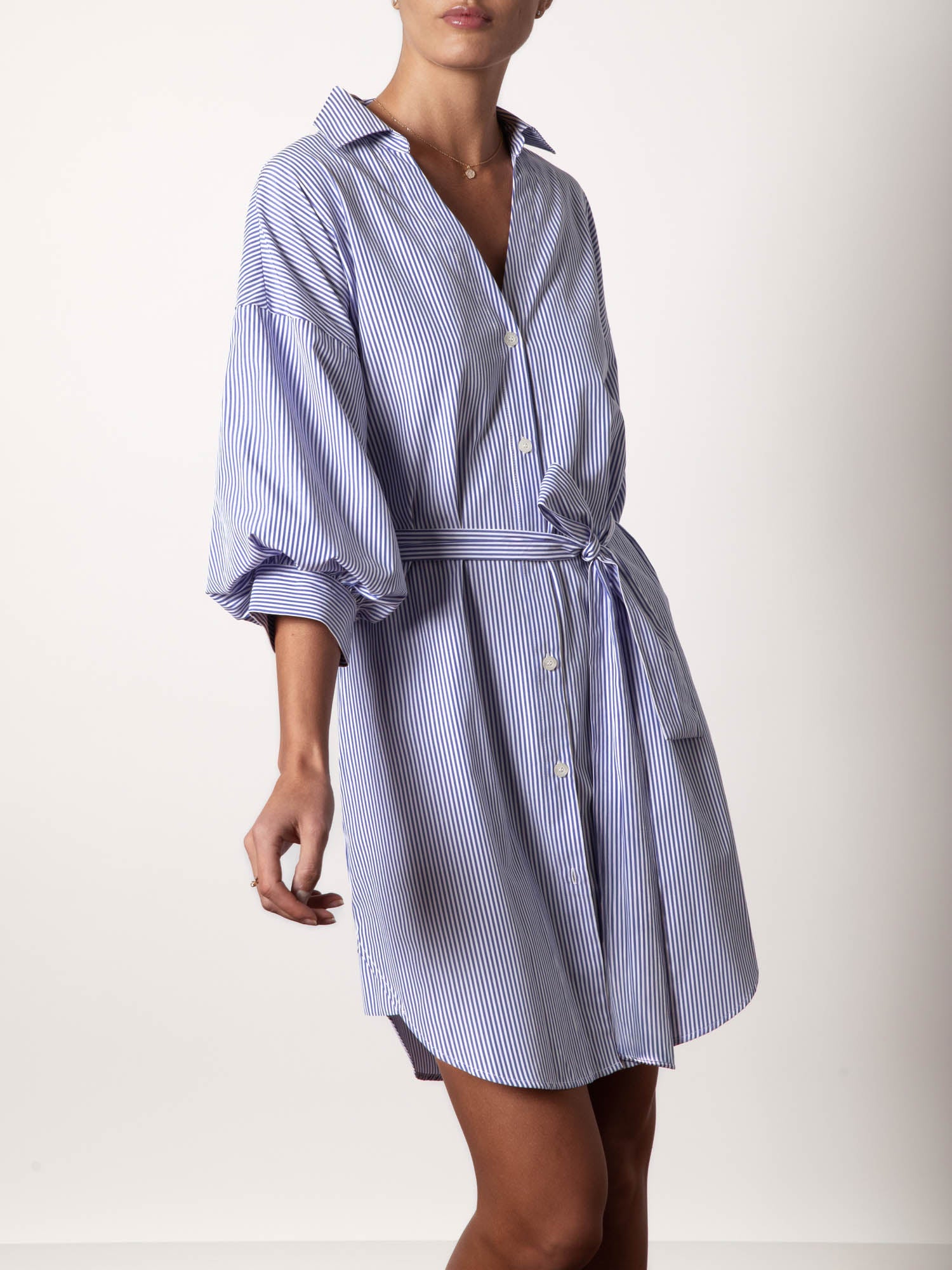 The Kate Belted Dress - Blue Stripe