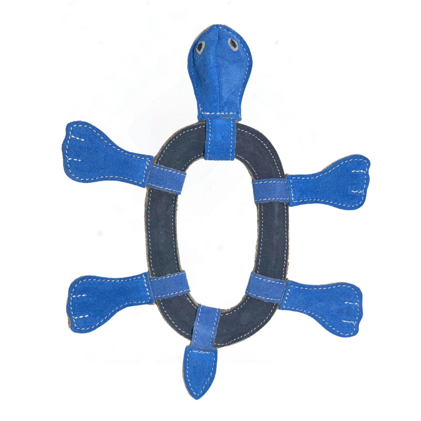 Thomas the Turtle - Blue